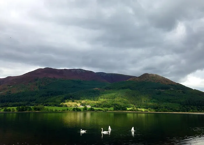 فندق وشقق سبا إمبلتون