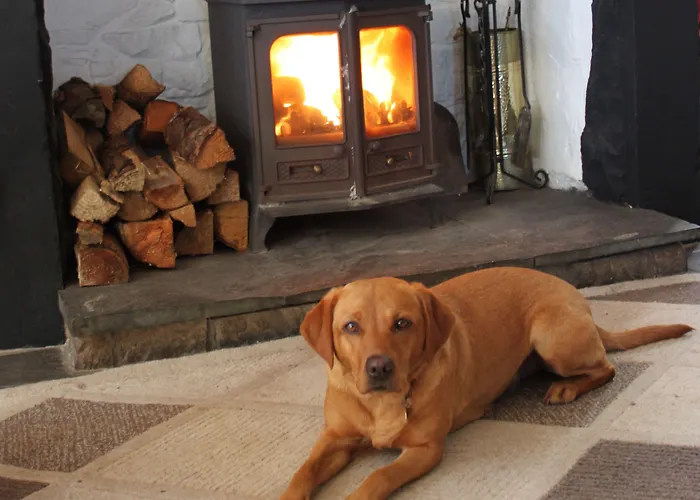 وشقق سبا فندق إمبلتون