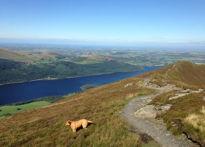 وشقق سبا إمبلتون